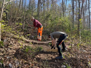 Wanderwegpflege Frühling