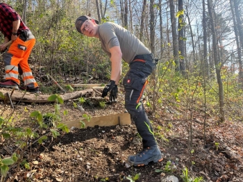 Wanderwegpflege Frühling