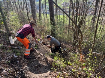 Wanderwegpflege Frühling