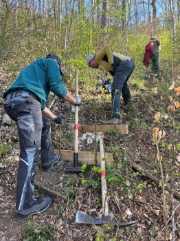 Wanderwegpflege Frühling