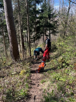 Wanderwegpflege Frühling