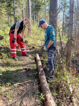 Wanderwegpflege Frühling