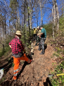 Wanderwegpflege Frühling