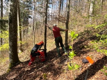 Wanderwegpflege Frühling